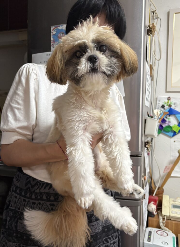 アイキャッチ画像