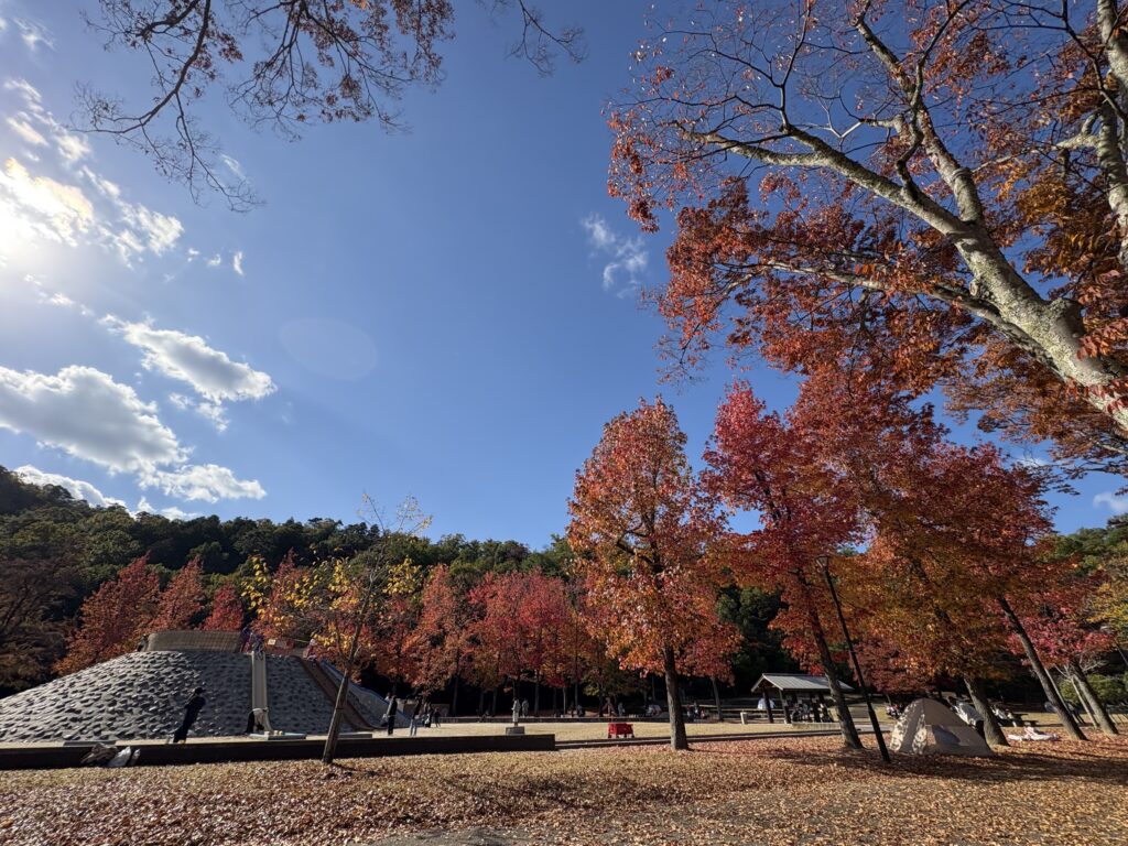 アイキャッチ画像