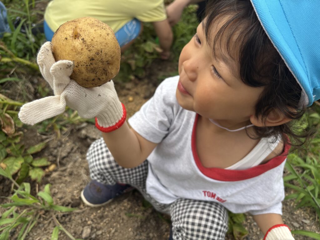 アイキャッチ画像